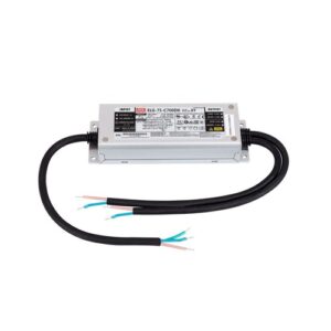 Nguồn meanwell ELG-75-C700DX
